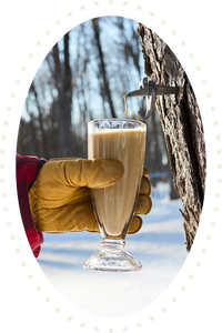 Tous ces nutriments, un seul shake.