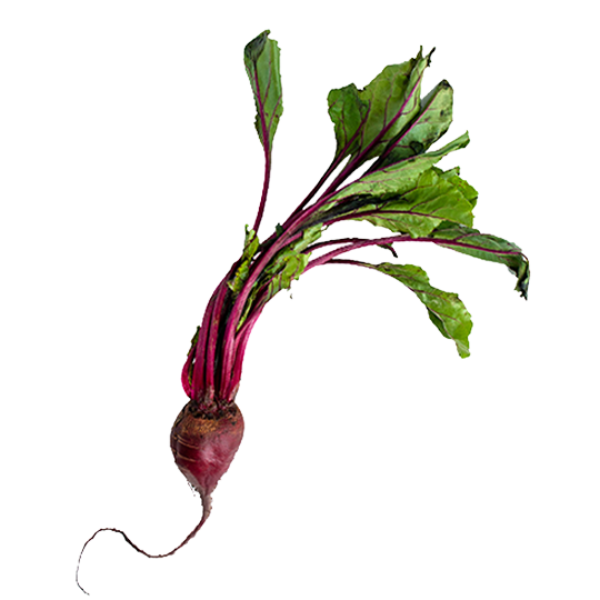 Ingredients – Good Protein