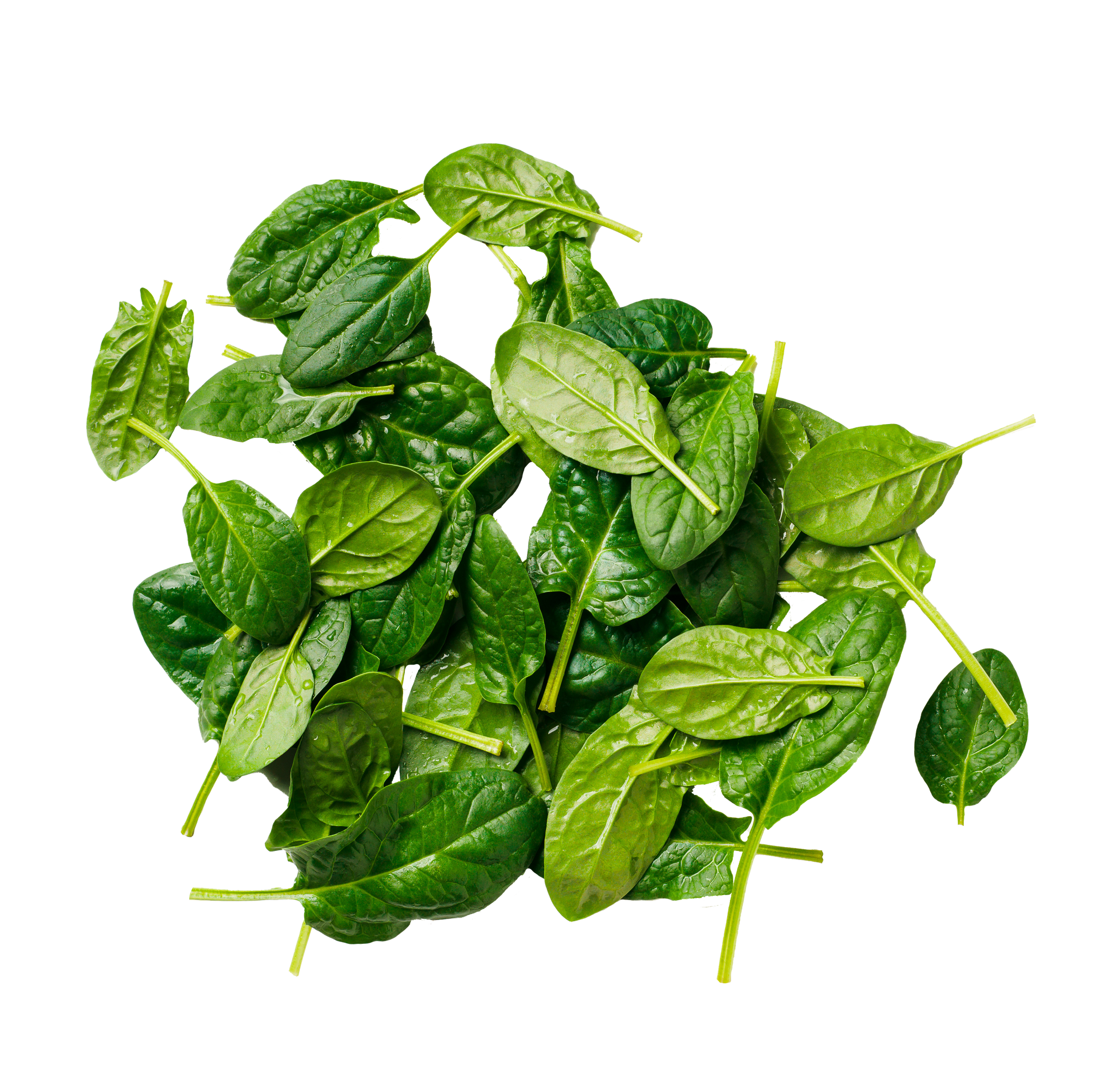 spinach (1).png