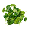 spinach (1).png
